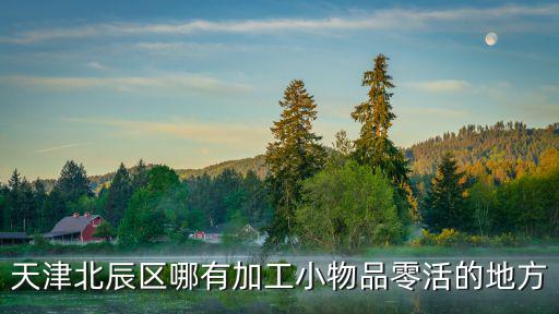 天津北辰區哪有加工小物品零活的地方