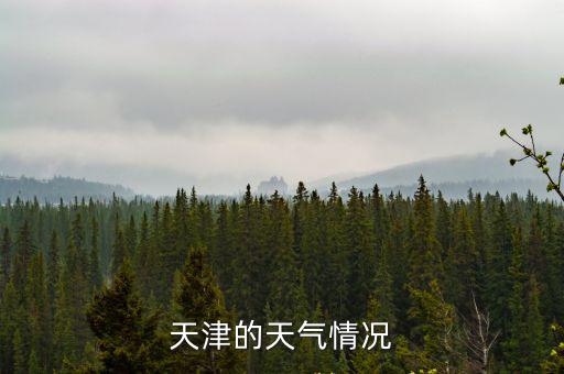 天津市天氣預(yù)報(bào)，天津的天氣情況