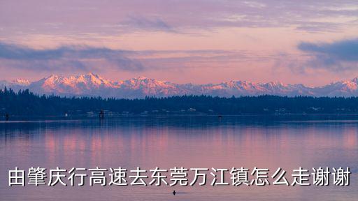 由肇慶行高速去東莞萬江鎮怎么走謝謝