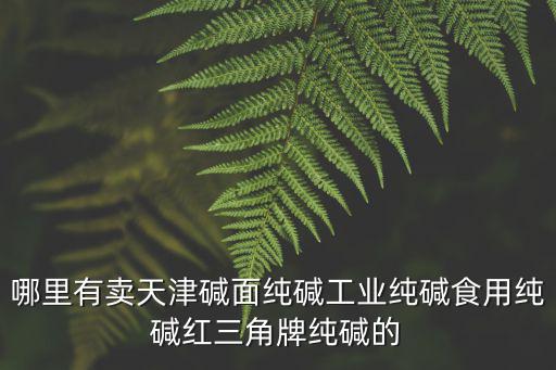 哪里有賣天津堿面純堿工業(yè)純堿食用純堿紅三角牌純堿的
