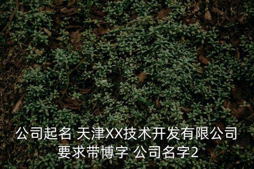 公司起名 天津XX技術開發有限公司 要求帶博字 公司名字2