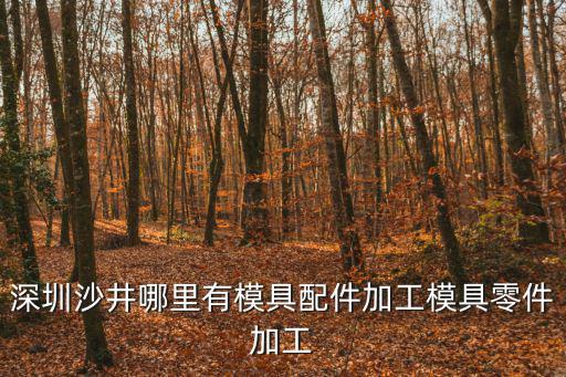 深圳沙井哪里有模具配件加工模具零件加工