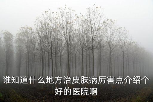 誰(shuí)知道什么地方治皮膚病厲害點(diǎn)介紹個(gè)好的醫(yī)院啊