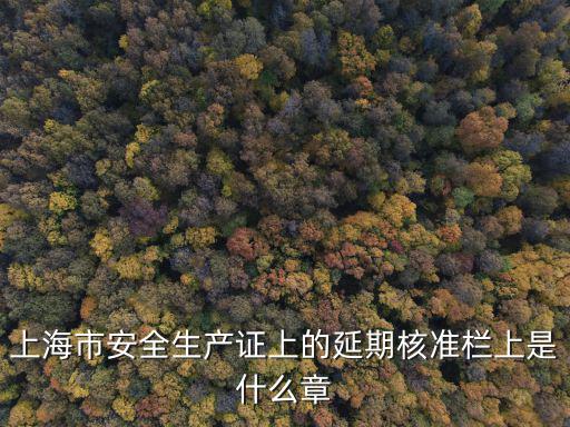 上海市電力建設(shè)安全質(zhì)量監(jiān)督站，上海安監(jiān)局詳細(xì)地址