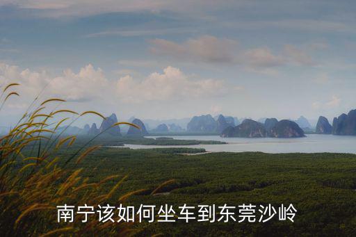 南寧該如何坐車到東莞沙嶺