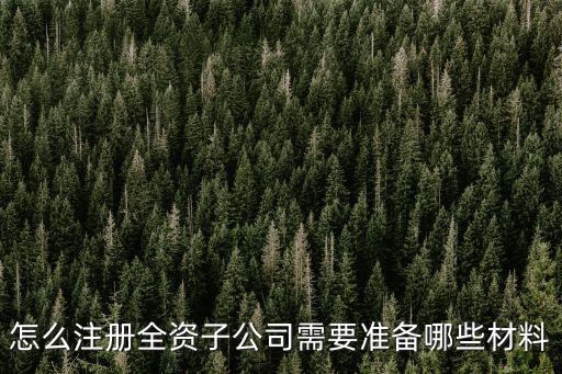 怎么注冊全資子公司需要準備哪些材料