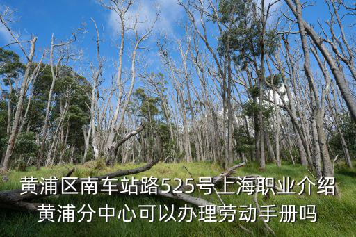 黃浦區(qū)南車站路525號(hào)上海職業(yè)介紹黃浦分中心可以辦理勞動(dòng)手冊(cè)嗎
