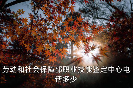 勞動和社會保障部職業(yè)技能鑒定中心電話多少