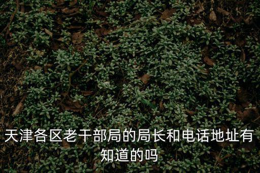 天津各區老干部局的局長和電話地址有知道的嗎