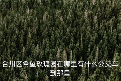 合川區希望玫瑰園在哪里有什么公交車到那里