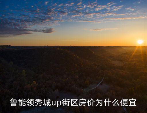 魯能領秀城up街區房價為什么便宜