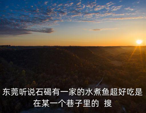 東莞聽說石碣有一家的水煮魚超好吃是在某一個巷子里的  搜