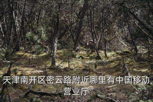 天津南開區密云路附近哪里有中國移動營業廳