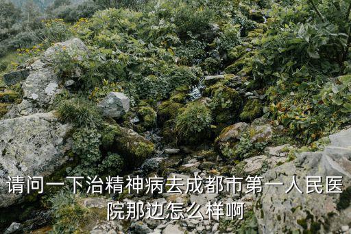 請問一下治精神病去成都市第一人民醫院那邊怎么樣啊