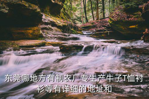 東莞哪地方有制衣廠專生產牛子T恤襯衫等有詳細的地址和