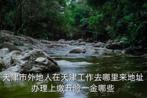 天津市五保，天津市的保險五金大概都是指的那幾種