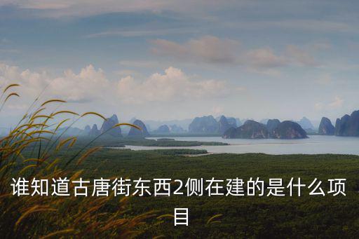 誰知道古唐街東西2側在建的是什么項目
