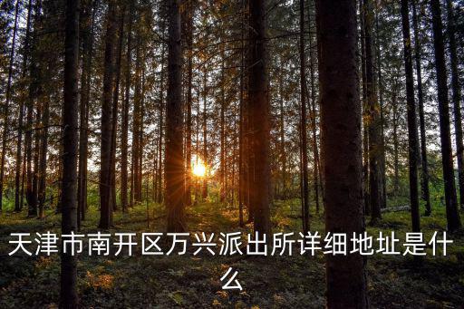 天津市南開區萬興派出所詳細地址是什么