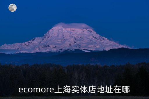 ecomore上海實體店地址在哪