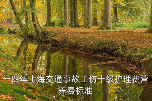 一四年上海交通事故工傷十級護理費營養費標準