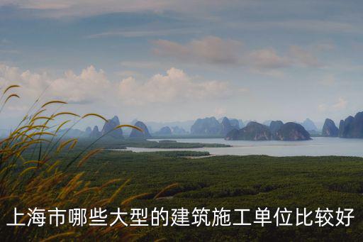 上海市哪些大型的建筑施工單位比較好