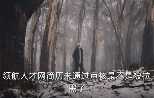 領航人才網簡歷未通過審核是不是被拉黑了