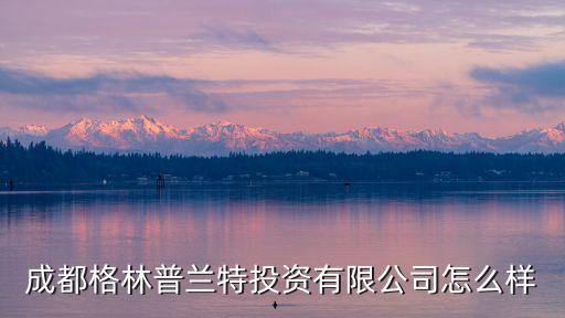 成都市弘川投資有限公司怎么樣，成都瑞元投資有限公司怎么樣