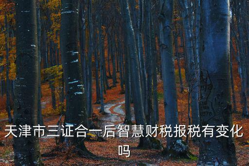 天津市三證合一后智慧財稅報稅有變化嗎