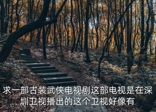 求一部古裝武俠電視劇這部電視是在深圳衛(wèi)視播出的這個衛(wèi)視好像有