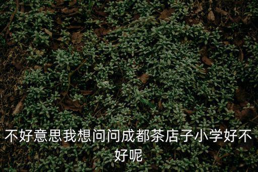 不好意思我想問問成都茶店子小學好不好呢