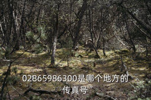 02865986300是哪個地方的傳真號