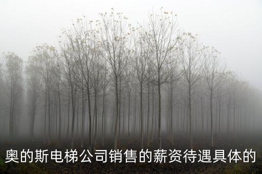 深圳奧的斯電梯招聘，奧的斯電梯公司銷售的薪資待遇具體的