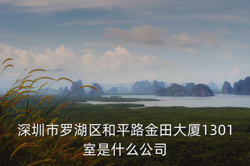 深圳市羅湖區和平路金田大廈1301室是什么公司