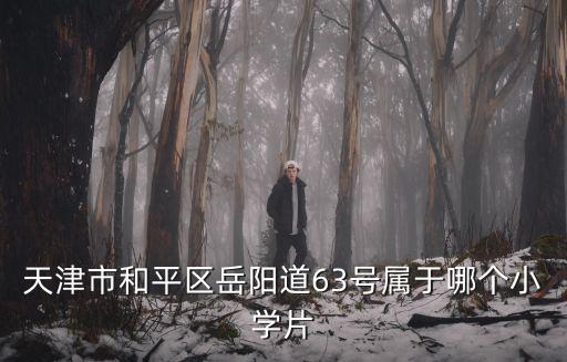 天津市和平區(qū)岳陽(yáng)道63號(hào)屬于哪個(gè)小學(xué)片