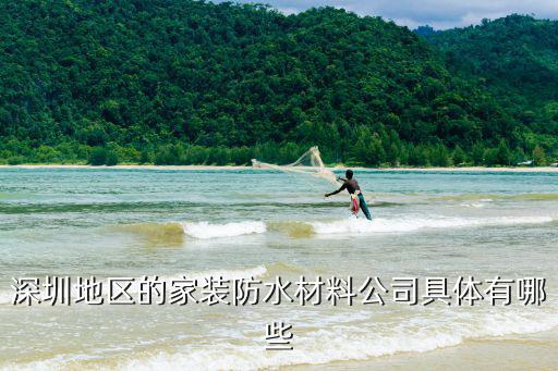 深圳地區的家裝防水材料公司具體有哪些
