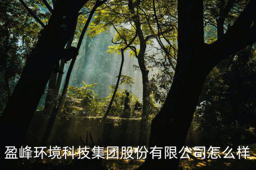 盈峰環境科技集團股份有限公司怎么樣