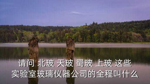 請問 北玻 天玻 蜀玻 上玻 這些實驗室玻璃儀器公司的全程叫什么