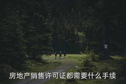 房地產(chǎn)銷售許可證都需要什么手續(xù)