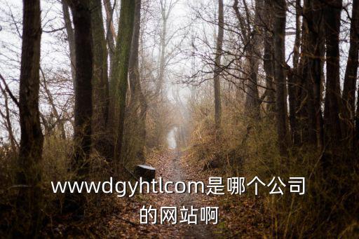 wwwdgyhtlcom是哪個公司的網站啊