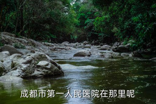 成都市第一人民醫院在那里呢