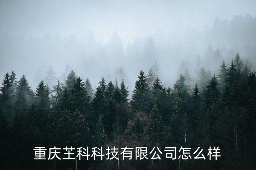重慶芏科科技有限公司怎么樣