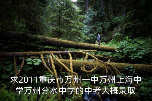 重慶市萬州區上海中學初一中考成績，敢問重慶萬州中考的分數查詢是哪個網址大概在幾月幾號公布成績