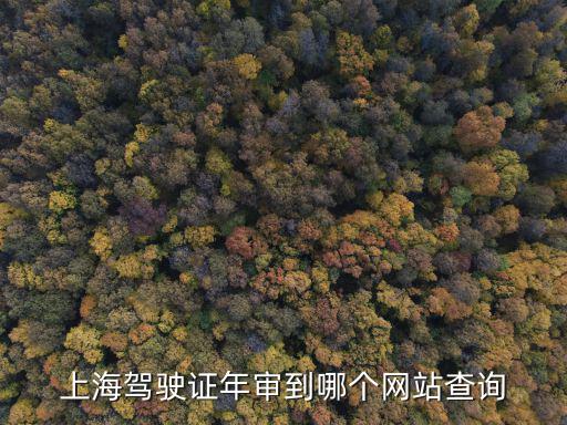 上海駕駛證年審到哪個網站查詢