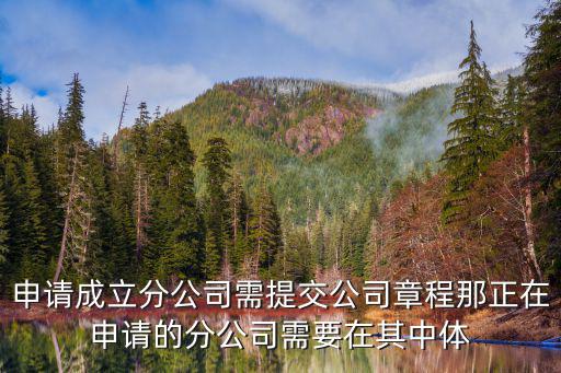 申請成立分公司需提交公司章程那正在申請的分公司需要在其中體