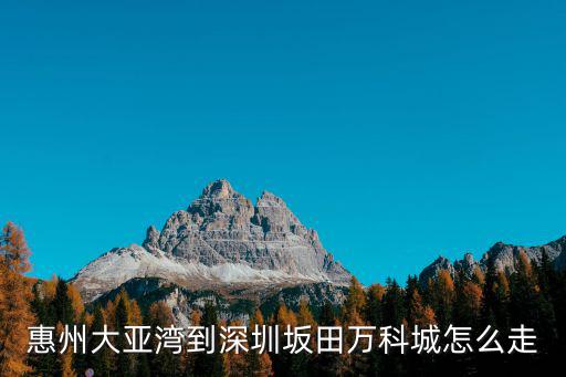 惠州大亞灣到深圳坂田萬科城怎么走