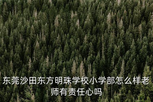 東莞沙田東方明珠學校小學部怎么樣老師有責任心嗎