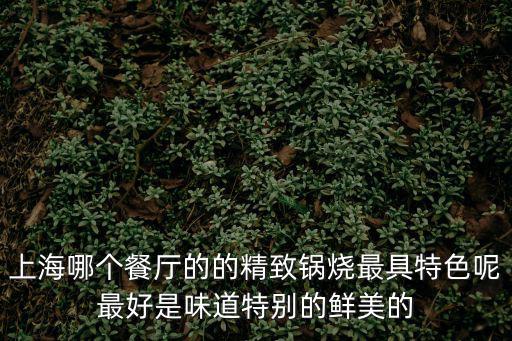 上海哪個餐廳的的精致鍋燒最具特色呢最好是味道特別的鮮美的