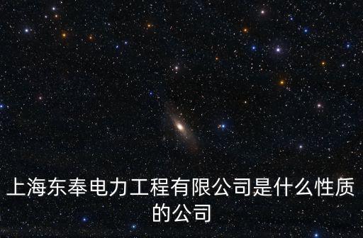 上海東奉電力工程有限公司是什么性質的公司