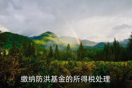 天津市防洪工程維護(hù)費(fèi)征收使用辦法，繳納防洪基金的所得稅處理