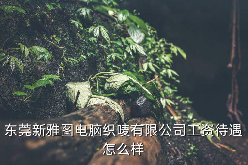 東莞新雅圖電腦織嘜有限公司工資待遇怎么樣